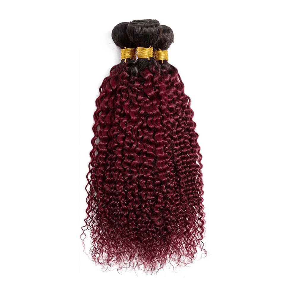 SL'HAIR 3Pcs 1BT99J Ombre Color Curly Bundles 100% Human Remy Hair