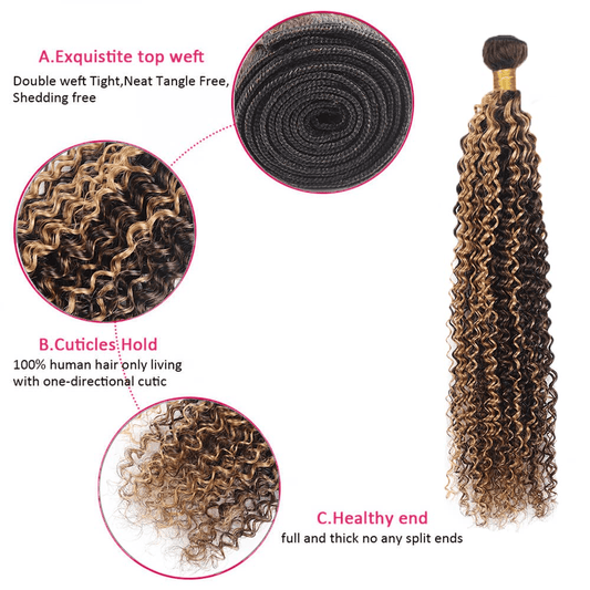 SL'HAIR 3Pcs 4-27 Highlight Ombre Color Curly Bundles 100% Human Remy Hair