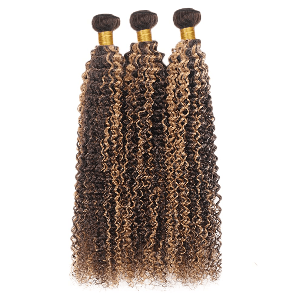 SL'HAIR 3Pcs 4-27 Highlight Ombre Color Curly Bundles 100% Human Remy Hair